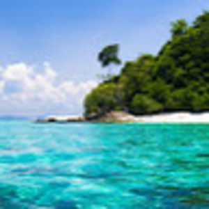 Meet your Posher, Bridgette